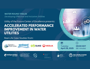Accelerated Performance Improvement in Water Utilities